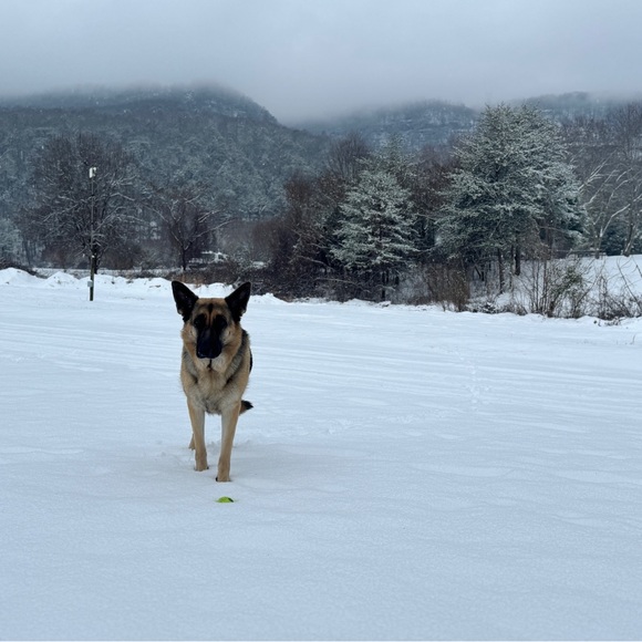 🍊🫐🍅SHARE SHOw LIVE/NUTRITION FUN 🍎🥑🌮🥯 - Picture 4 of 9